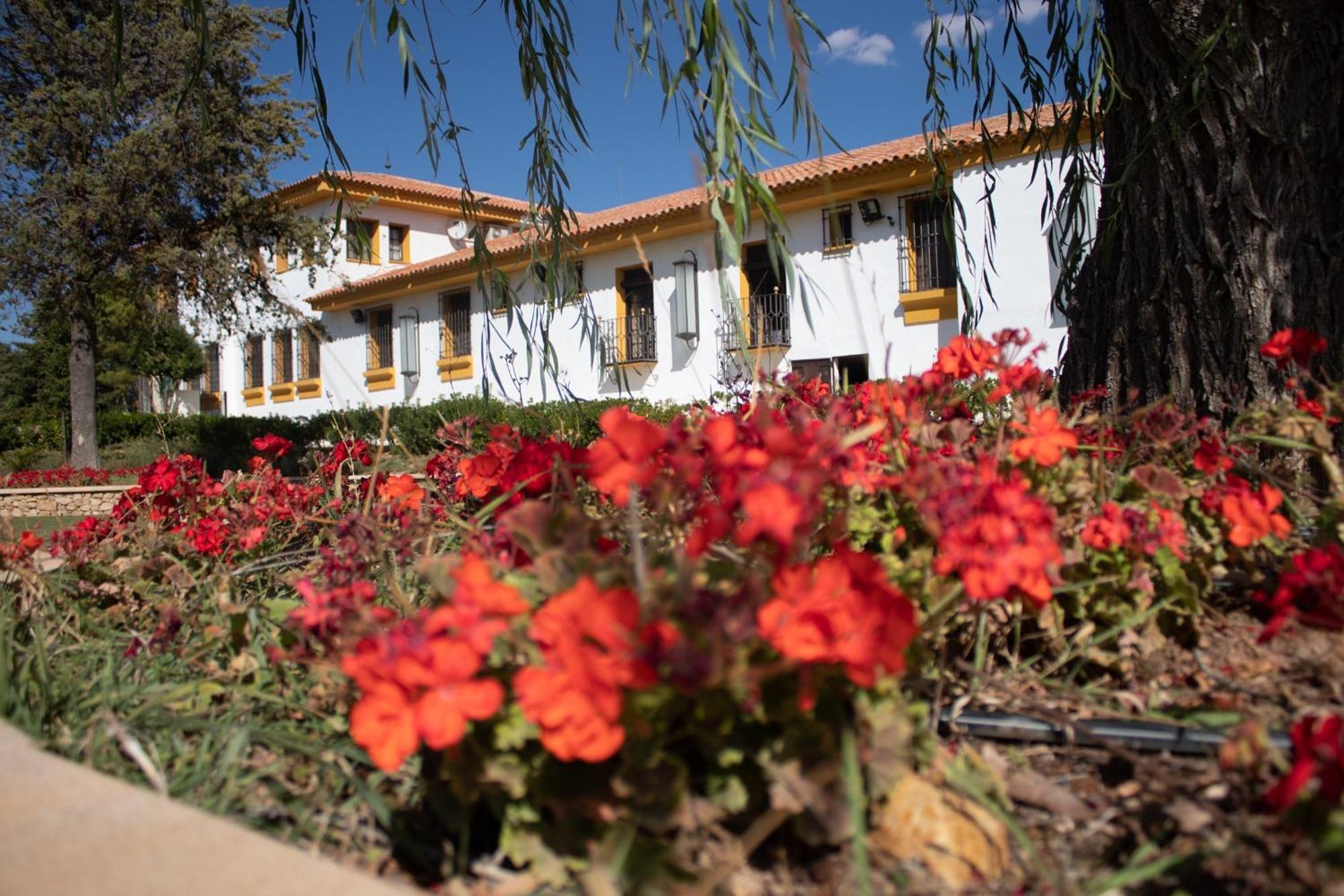 Hotel Beatas